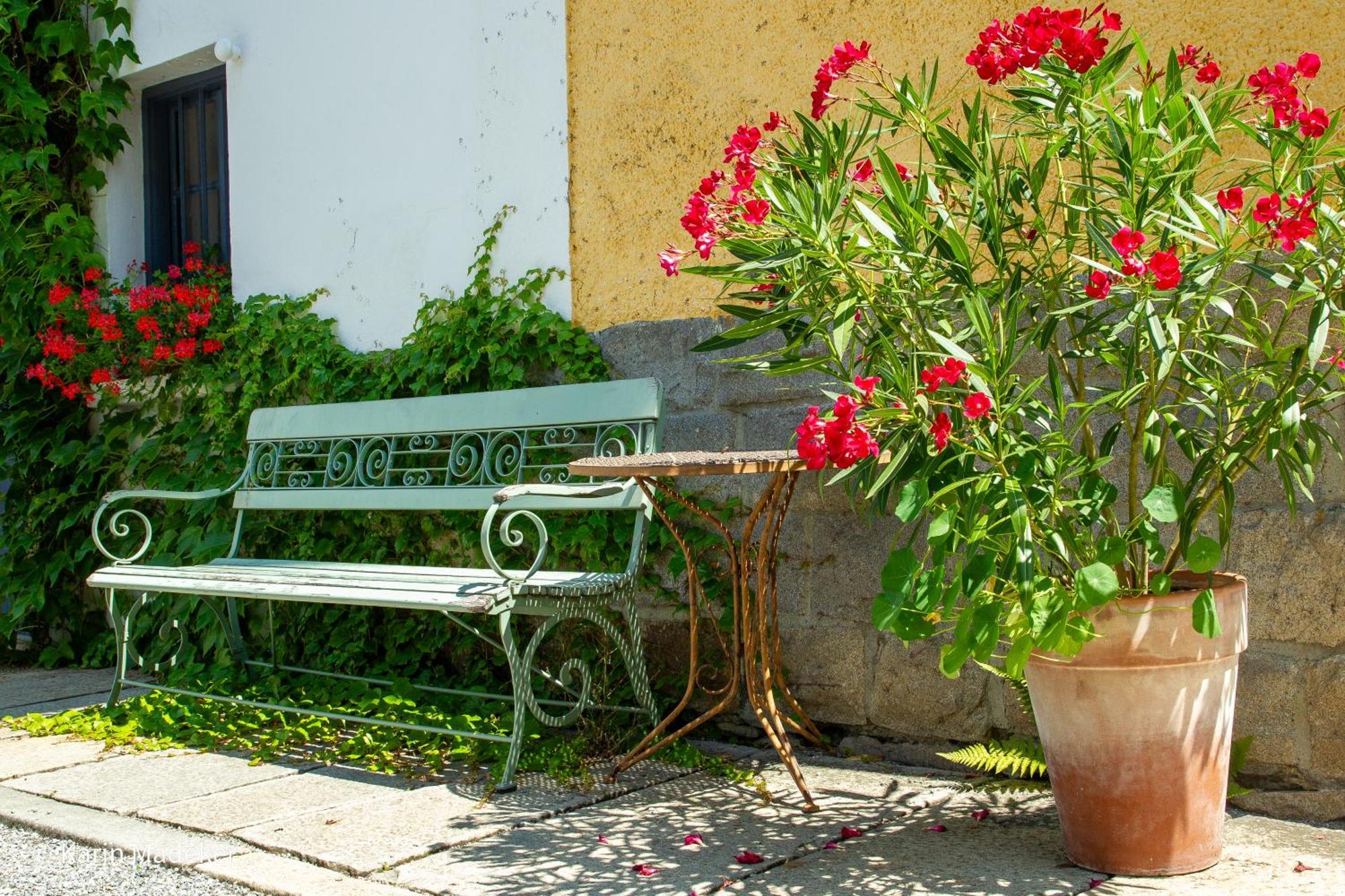 Design Ferienwohnung Mit Bauerngarten วัลด์เคอร์เชิน ภายนอก รูปภาพ
